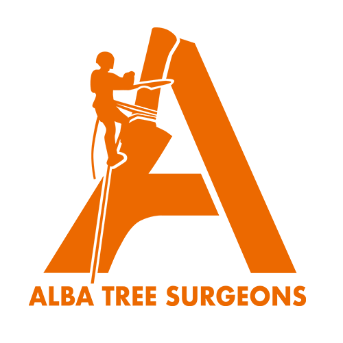 Alba Tree Surgeons logo featuring climbing arborist on letter A